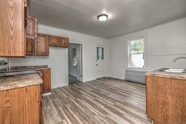 9 Woodland St, Vernon, CT 06066 - kitchen featuring radiator heating unit, brown cabinetry, light wood finished floors, electric stove, and crown molding