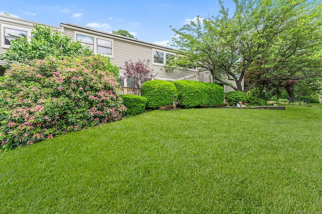 3 Clemens Ct Unit 3, Rocky Hill, CT 06067 - view of grassy yard