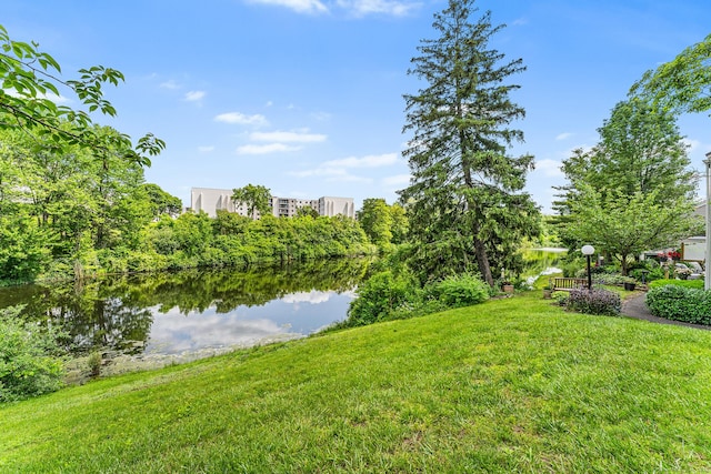3 Clemens Ct Unit 3, Rocky Hill, CT 06067 - view of green lawn featuring a water view
