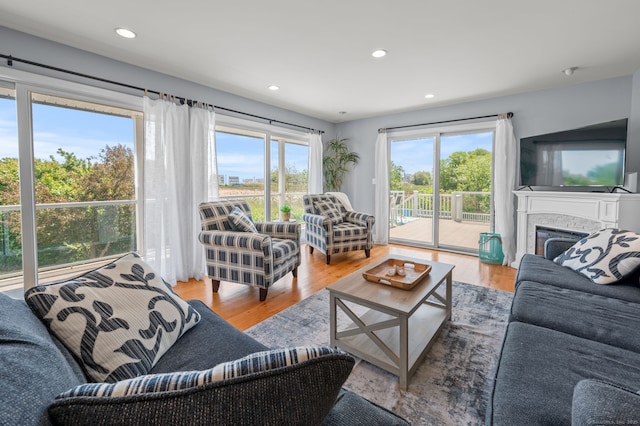 49 Economy Dr, Westbrook, CT 06498 - living area featuring wood finished floors, recessed lighting, and a fireplace