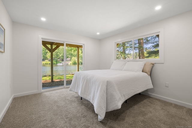 15 Fedus Dr, East Haddam, CT 06415 - carpeted bedroom with access to exterior, multiple windows, baseboards, and recessed lighting