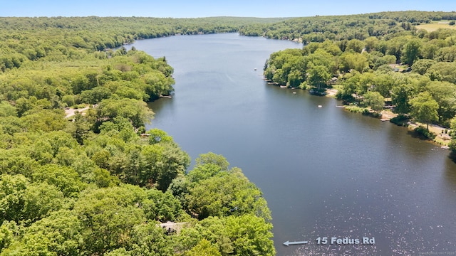 15 Fedus Dr, East Haddam, CT 06415 - bird's eye view of a heavily wooded area and a large body of water
