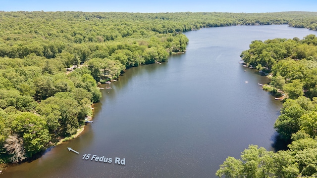 15 Fedus Dr, East Haddam, CT 06415 - aerial view of a heavily wooded area and a nearby body of water