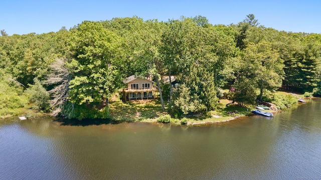 15 Fedus Dr, East Haddam, CT 06415 - view from above of property with a large body of water and a forest