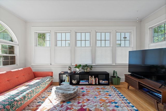 1748 Whitney Ave, Hamden, CT 06517 - view of sunroom / solarium