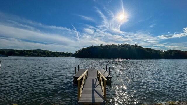 70 S Lake Shore Dr, Brookfield, CT 06804 - dock with a water view and a forest view