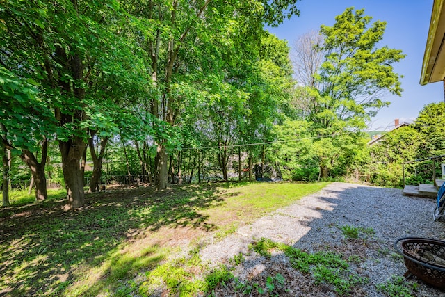 22 Hillside Ave, Torrington, CT 06790 - view of yard