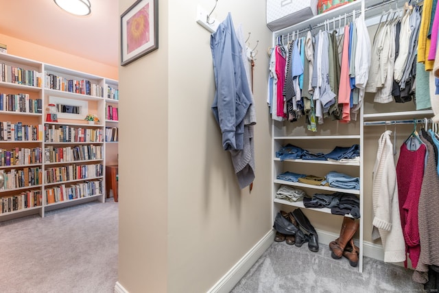 133 Hoop Pole Hill Rd, Woodbury, CT 06798 - spacious closet with carpet floors