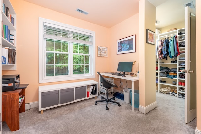 133 Hoop Pole Hill Rd, Woodbury, CT 06798 - home office with carpet floors and baseboards