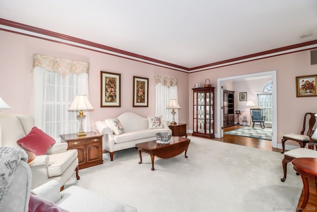 10 Deer Park Rd, Danbury, CT 06811 - living room featuring ornamental molding, wood finished floors, and baseboards
