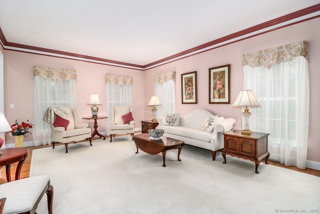 10 Deer Park Rd, Danbury, CT 06811 - living room featuring healthy amount of natural light, crown molding, and baseboards
