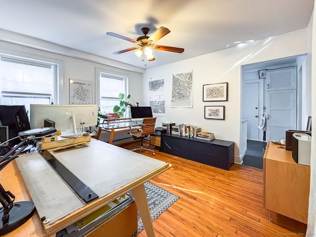 492 Whitney Ave Unit 4B, New Haven, CT 06511 - office area with ceiling fan and light wood-style floors