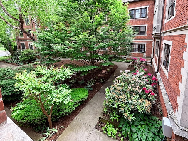 492 Whitney Ave Unit 4B, New Haven, CT 06511 - view of yard