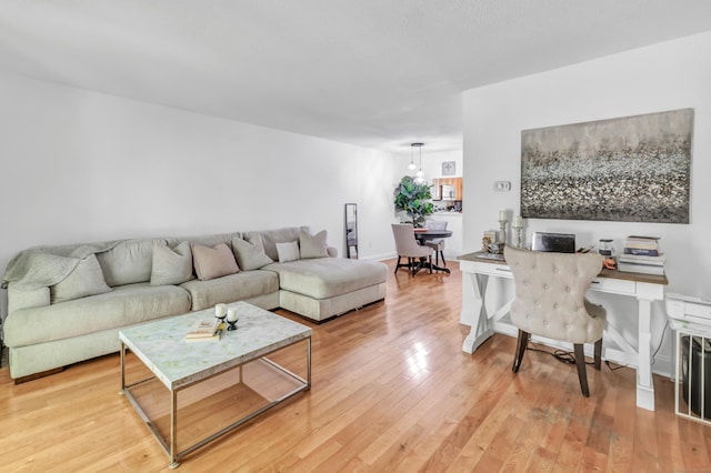 196 New Haven Ave Unit 322, Derby, CT 06418 - living room with light wood-type flooring