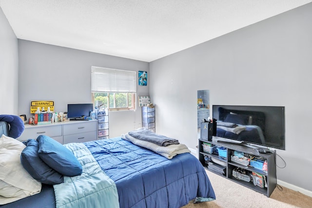 196 New Haven Ave Unit 322, Derby, CT 06418 - bedroom with carpet and baseboards