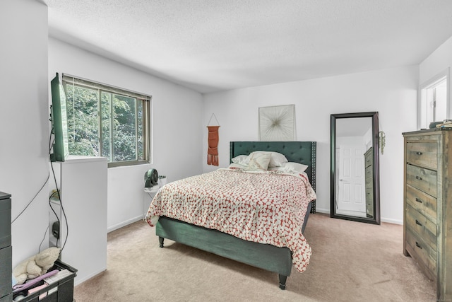 196 New Haven Ave Unit 322, Derby, CT 06418 - bedroom featuring light carpet, a textured ceiling, and baseboards