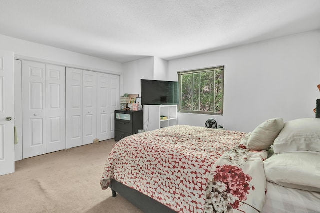 196 New Haven Ave Unit 322, Derby, CT 06418 - carpeted bedroom with a closet