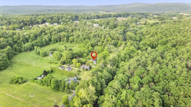 123 Lower Rd, North Canaan, CT 06024 - aerial overview of property's location featuring a forest