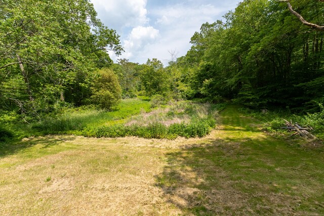 36 Harris Road Ext, Salem, CT 06420 - view of woods