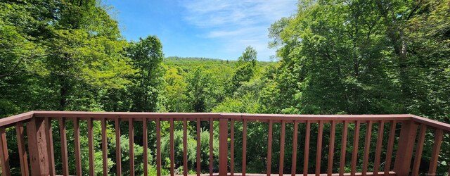 552 Squaw Rock Rd, Plainfield, CT 06354 - wooden deck with a view of trees