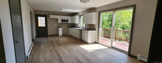 552 Squaw Rock Rd, Plainfield, CT 06354 - kitchen featuring stainless steel microwave, a baseboard heating unit, light wood-type flooring, and white cabinets
