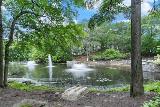 50 Aiken St Apt 463, Norwalk, CT 06851 - water view