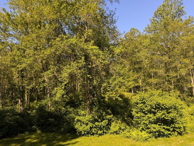 51 Isleib Rd, Marlborough, CT 06447 - view of wooded area