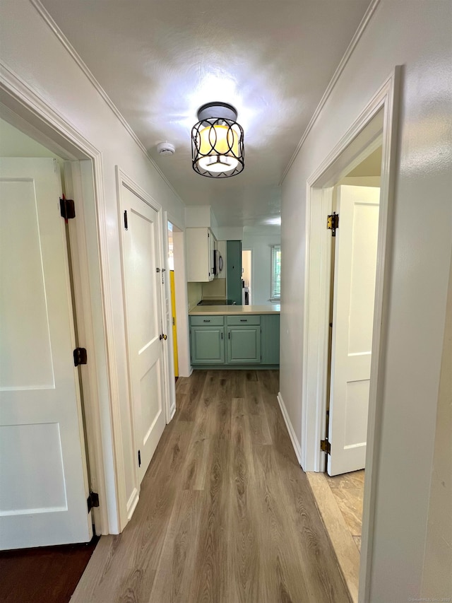 55 Lancaster St, Watertown, CT 06779 - corridor featuring light wood-style floors and crown molding