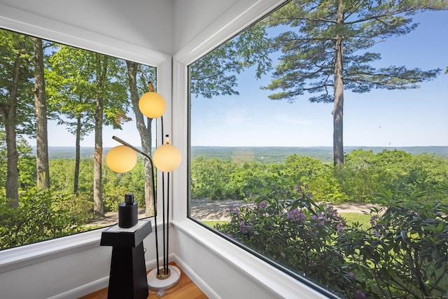 29 Montevideo Rd, Avon, CT 06001 - detailed view of baseboards