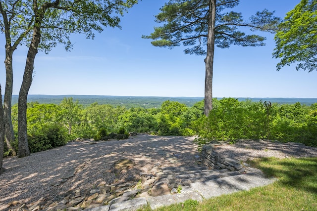 29 Montevideo Rd, Avon, CT 06001 - view of yard