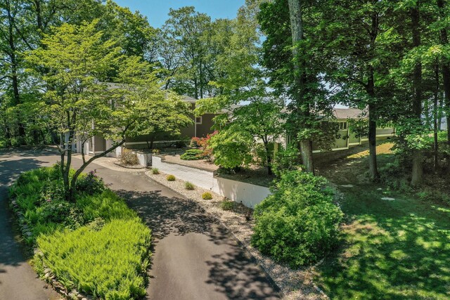 29 Montevideo Rd, Avon, CT 06001 - view of home's community