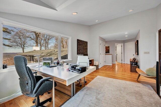 29 Montevideo Rd, Avon, CT 06001 - office space with vaulted ceiling, light wood-type flooring, recessed lighting, and baseboards