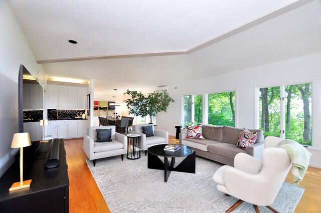 29 Montevideo Rd, Avon, CT 06001 - living room with light wood-style floors
