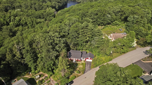 42 Sycamore Ter, Windham, CT 06280 - aerial overview of property's location with a forest and a large body of water
