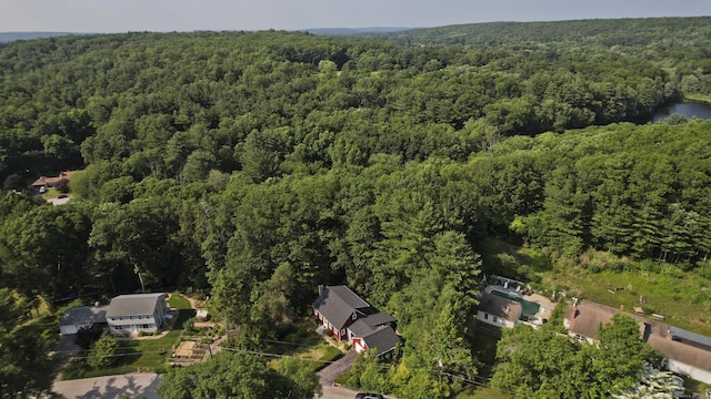 42 Sycamore Ter, Windham, CT 06280 - aerial view of a forest