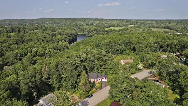 42 Sycamore Ter, Windham, CT 06280 - view of property location featuring a forest and a nearby body of water
