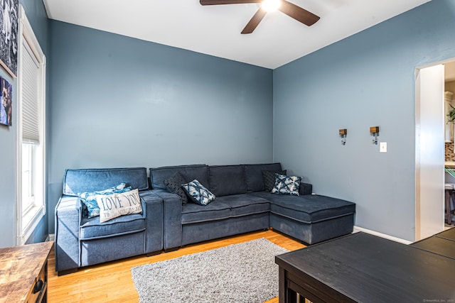 59 Woodbine Rd, Colchester, CT 06415 - living room featuring a ceiling fan and wood finished floors