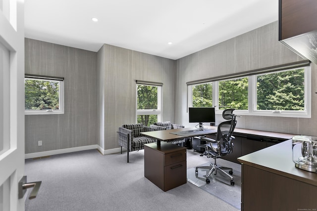 326 Georgetown Rd, Weston, CT 06883 - office space with plenty of natural light, light carpet, baseboards, and recessed lighting