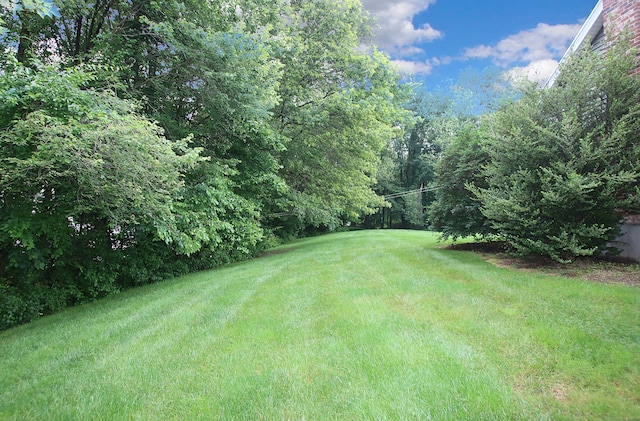 43 Redwood Cir, Shelton, CT 06484 - view of green lawn