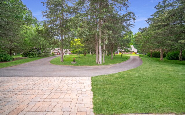 258 New Cheshire Rd, Wallingford, CT 06492 - view of property's community with driveway and a lawn
