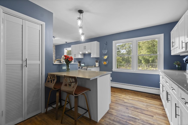64 Obed Hts, Old Saybrook, CT 06475 - kitchen with a baseboard heating unit, under cabinet range hood, white cabinets, and wood finished floors