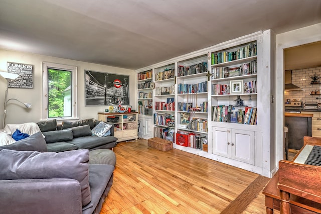 225 Rocky Mountain Rd, Southbury, CT 06488 - living room with hardwood / wood-style flooring