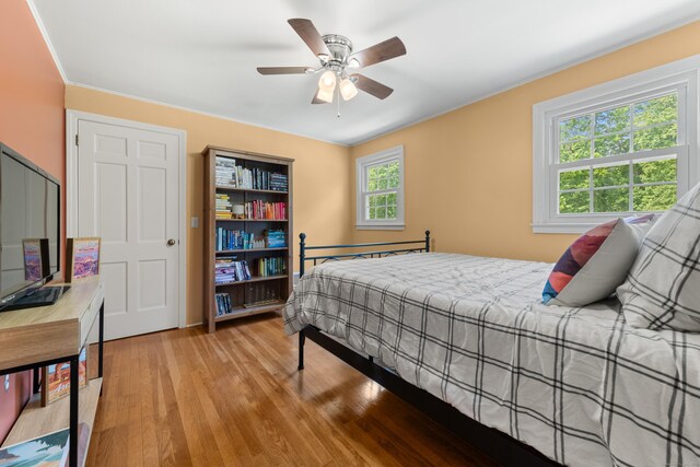 291 Miller Rd, Bethany, CT 06524 - photo 33
