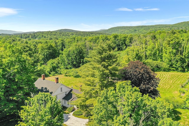 27 Tobey Hill Rd, North Canaan, CT 06018 - view from above of property featuring a heavily wooded area and a mountainous background