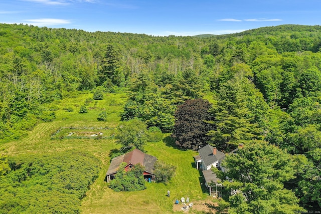 27 Tobey Hill Rd, North Canaan, CT 06018 - view of subject property with a forest