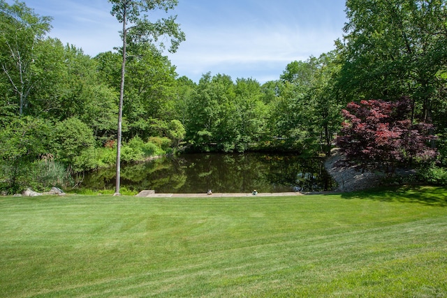 12 Northwoods Rd, Granby, CT 06060 - view of green lawn featuring a water view and a wooded view