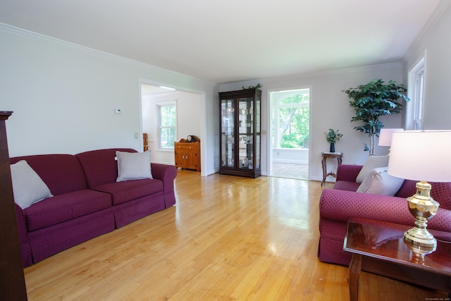 12 Northwoods Rd, Granby, CT 06060 - living area with plenty of natural light, light wood finished floors, crown molding, and baseboards