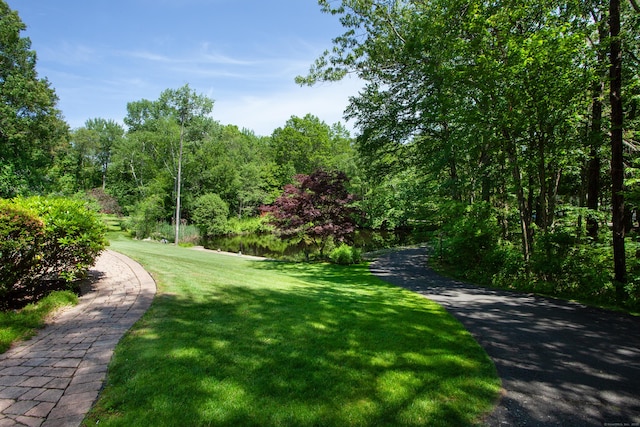 12 Northwoods Rd, Granby, CT 06060 - view of road