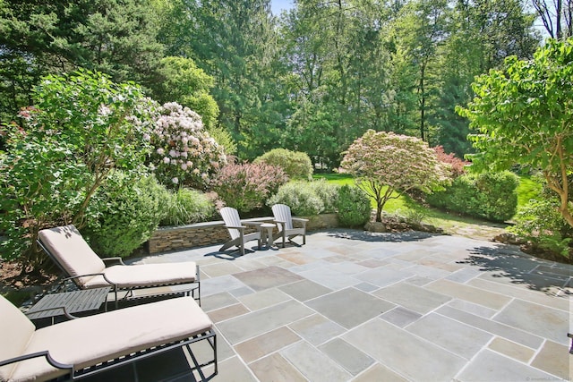 151 Woodridge Dr, New Canaan, CT 06840 - view of patio / terrace