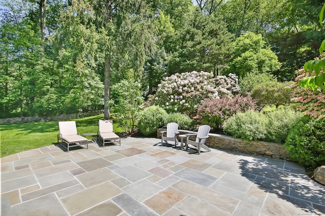 151 Woodridge Dr, New Canaan, CT 06840 - view of patio